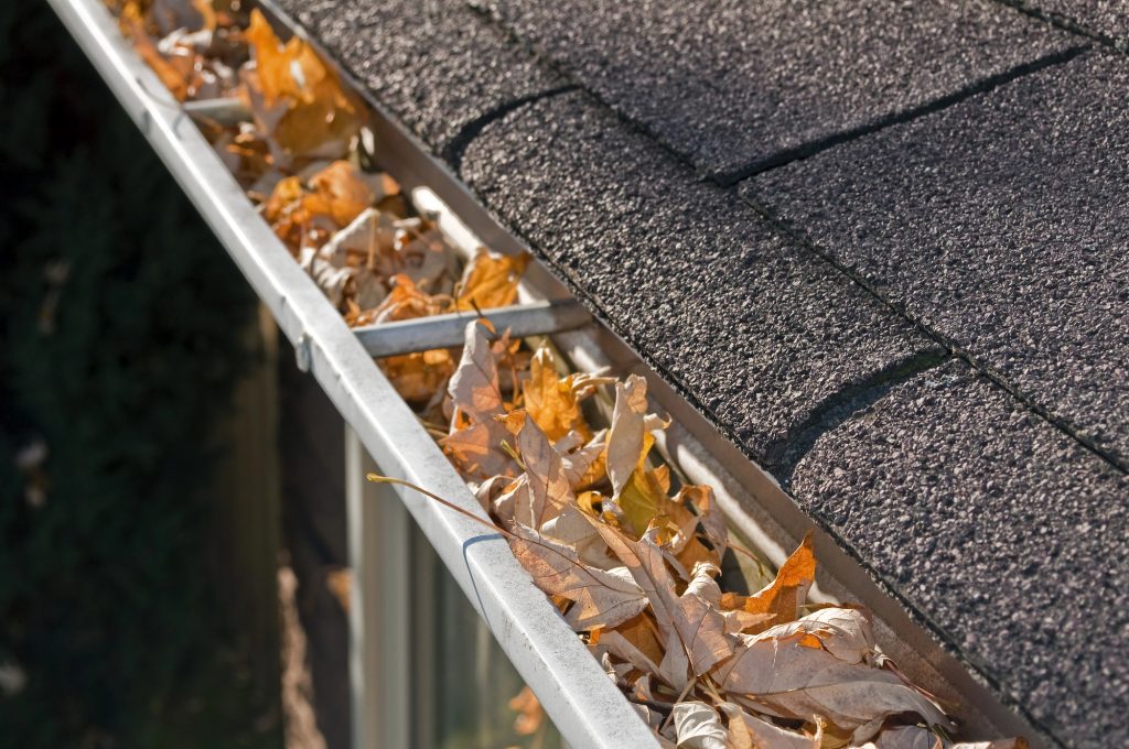 Gutter cleaning toronto
