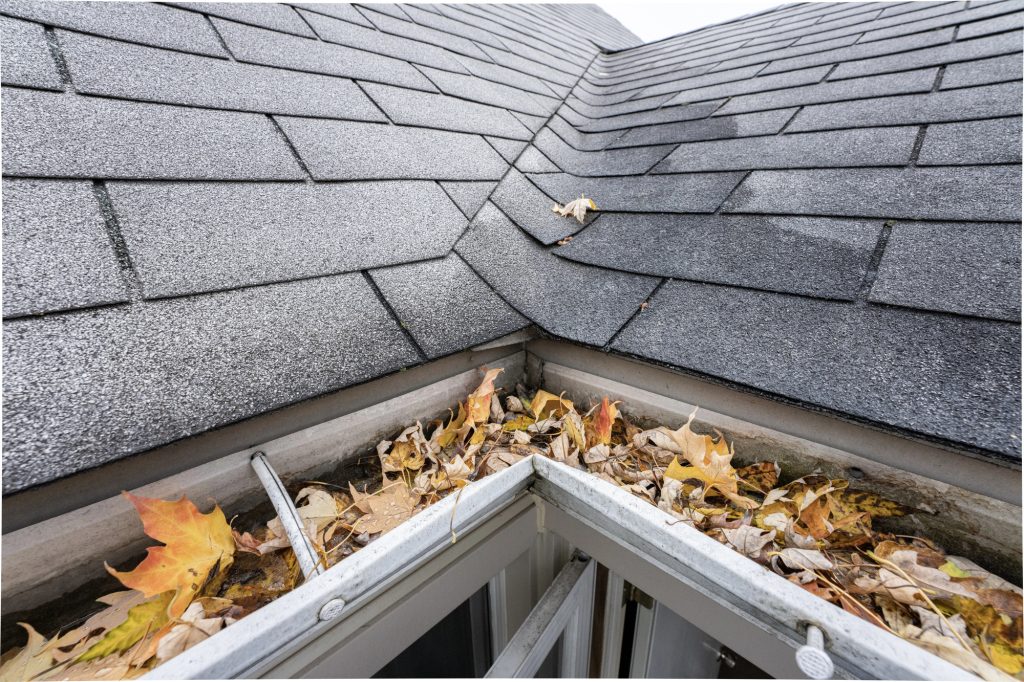 gutter cleaning service Toronto