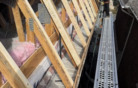 Sistered Rafters and Cleans Soffits